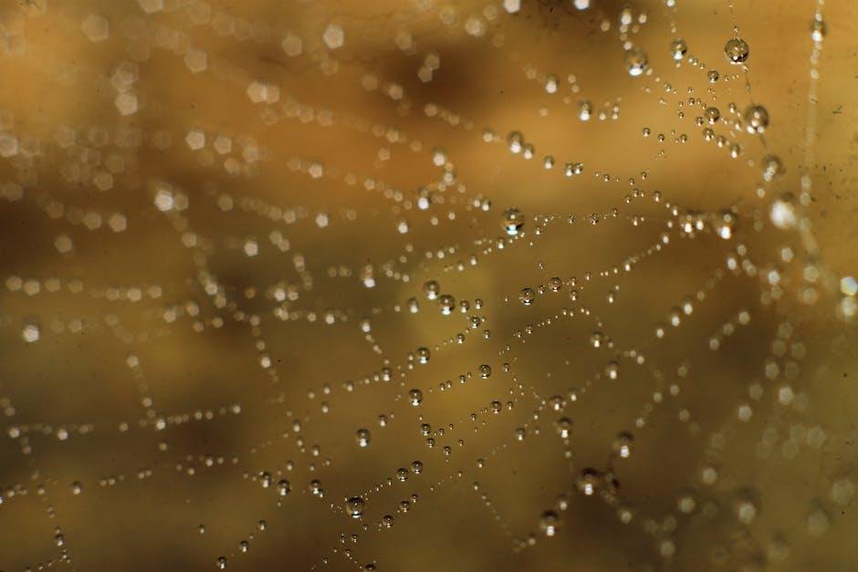 Key Ingredients that Combat Shine and​ Control Oil