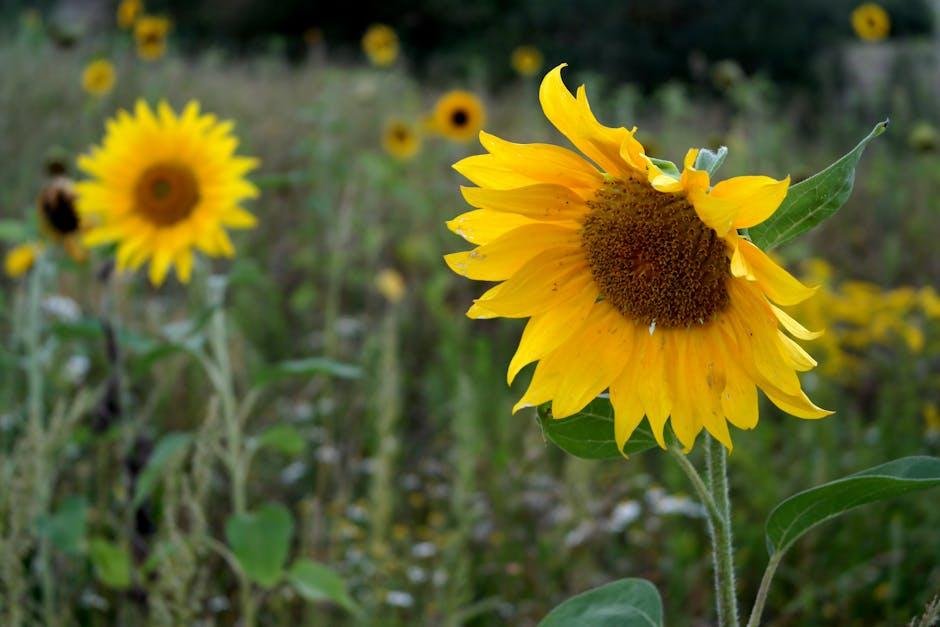 Sustainable Beauty Innovations Shaping Eco-Conscious ‌Choices