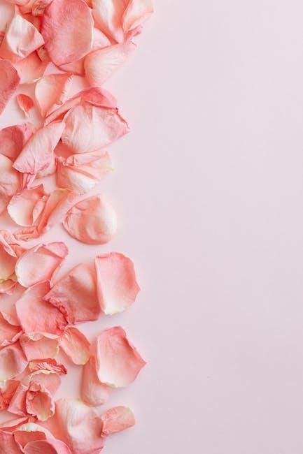 Product Recommendations for Nailing the ‌Viral Blush Aesthetic