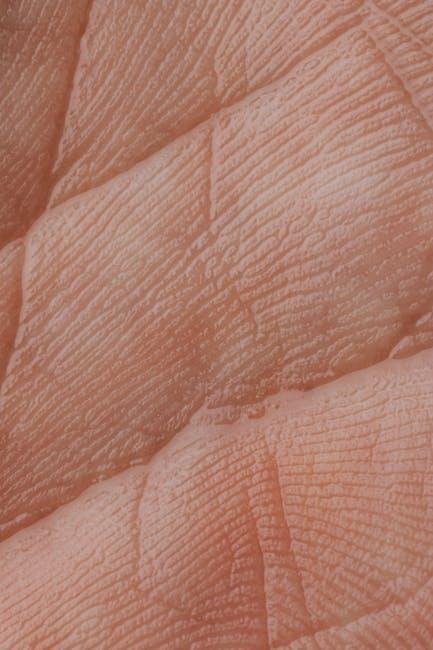 Mastering the Order:​ from Thinnest to ⁤Thickest