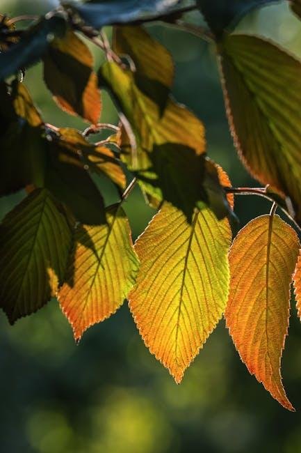 Mastering the Art of Color Transition